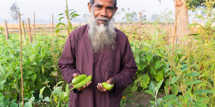 Yusuf Ali (Vegetable ) (1)